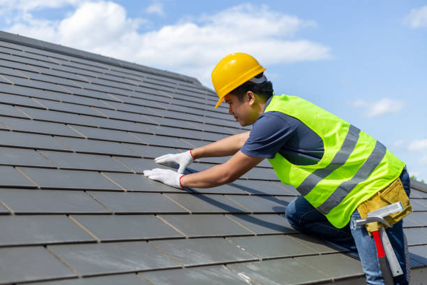 Best Gutter Installation and Roofing  in Trinity, AL