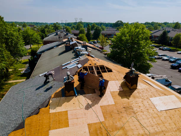Quick and Trustworthy Emergency Roof Repair Services in Trinity, AL