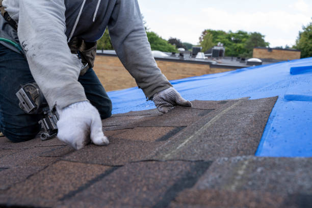 Best Commercial Roofing Services  in Trinity, AL