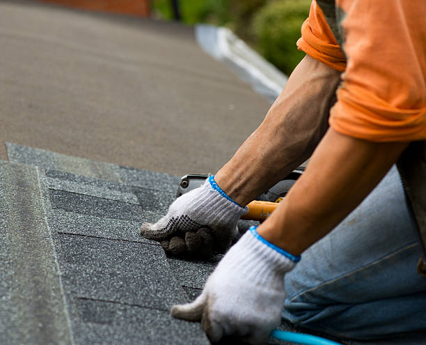 Best Best Roofing Contractors  in Trinity, AL